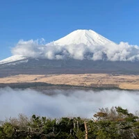 画像307